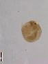  ( - BIOUG01701-A06)  @12 [ ] Unspecified (default): All Rights Reserved  Unspecified Unspecified