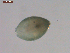  (PodocopidGEN BIOUG025 - BIOUG01701-G04)  @13 [ ] Unspecified (default): All Rights Reserved  Unspecified Unspecified