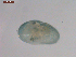  ( - BIOUG01701-H09)  @13 [ ] Unspecified (default): All Rights Reserved  Unspecified Unspecified
