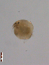  ( - BIOUG01702-C01)  @12 [ ] Unspecified (default): All Rights Reserved  Unspecified Unspecified
