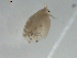  ( - BIOUG01704-A07)  @13 [ ] Unspecified (default): All Rights Reserved  Unspecified Unspecified