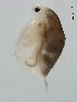  ( - BIOUG00923-A06)  @13 [ ] Unspecified (default): All Rights Reserved  Unspecified Unspecified