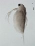  ( - BIOUG00924-G04)  @13 [ ] Unspecified (default): All Rights Reserved  Unspecified Unspecified