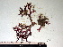  ( - GWS001971)  @11 [ ] CreativeCommons - Attribution Non-Commercial Share-Alike (2010) Unspecified University of New Brunswick
