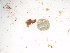  ( - GWS022716)  @11 [ ] Unspecified (default): All Rights Reserved  Unspecified Unspecified