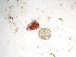  ( - GWS022717)  @11 [ ] Unspecified (default): All Rights Reserved  Unspecified Unspecified