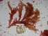  ( - GWS022815)  @11 [ ] Unspecified (default): All Rights Reserved  Unspecified Unspecified