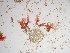  ( - GWS022845)  @11 [ ] Unspecified (default): All Rights Reserved  Unspecified Unspecified