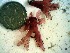  ( - GWS022848)  @11 [ ] Unspecified (default): All Rights Reserved  Unspecified Unspecified