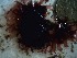  ( - GWS022880)  @11 [ ] Unspecified (default): All Rights Reserved  Unspecified Unspecified