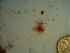  ( - GWS022991)  @11 [ ] Unspecified (default): All Rights Reserved  Unspecified Unspecified