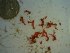  ( - GWS023004)  @11 [ ] Unspecified (default): All Rights Reserved  Unspecified Unspecified
