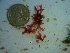  ( - GWS023016)  @11 [ ] Unspecified (default): All Rights Reserved  Unspecified Unspecified