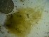  ( - GWS023087)  @12 [ ] Unspecified (default): All Rights Reserved  Unspecified Unspecified