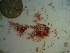  ( - GWS023098)  @11 [ ] Unspecified (default): All Rights Reserved  Unspecified Unspecified