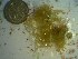  ( - GWS023100)  @11 [ ] Unspecified (default): All Rights Reserved  Unspecified Unspecified