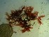  ( - GWS023197)  @11 [ ] Unspecified (default): All Rights Reserved  Unspecified Unspecified