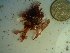  ( - GWS023221)  @11 [ ] Unspecified (default): All Rights Reserved  Unspecified Unspecified