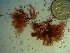 ( - GWS023254)  @11 [ ] Unspecified (default): All Rights Reserved  Unspecified Unspecified
