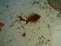  ( - GWS023293)  @11 [ ] Unspecified (default): All Rights Reserved  Unspecified Unspecified