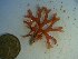  ( - GWS023408)  @11 [ ] Unspecified (default): All Rights Reserved  Unspecified Unspecified