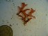  ( - GWS023412)  @11 [ ] Unspecified (default): All Rights Reserved  Unspecified Unspecified