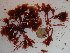  ( - GWS023417)  @11 [ ] Unspecified (default): All Rights Reserved  Unspecified Unspecified