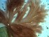  ( - GWS023431)  @11 [ ] Unspecified (default): All Rights Reserved  Unspecified Unspecified