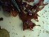 ( - GWS023441)  @11 [ ] Unspecified (default): All Rights Reserved  Unspecified Unspecified