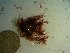  ( - GWS023559)  @11 [ ] Unspecified (default): All Rights Reserved  Unspecified Unspecified