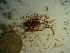  ( - GWS023565)  @11 [ ] Unspecified (default): All Rights Reserved  Unspecified Unspecified