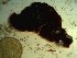  ( - GWS023597)  @11 [ ] Unspecified (default): All Rights Reserved  Unspecified Unspecified
