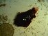  ( - GWS023602)  @11 [ ] Unspecified (default): All Rights Reserved  Unspecified Unspecified