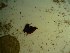  ( - GWS023609)  @11 [ ] Unspecified (default): All Rights Reserved  Unspecified Unspecified