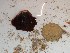  ( - GWS023612)  @11 [ ] Unspecified (default): All Rights Reserved  Unspecified Unspecified