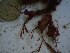 ( - GWS023653)  @11 [ ] Unspecified (default): All Rights Reserved  Unspecified Unspecified