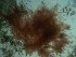  ( - GWS023811)  @12 [ ] Unspecified (default): All Rights Reserved  Unspecified Unspecified