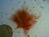  ( - GWS023853)  @12 [ ] Unspecified (default): All Rights Reserved  Unspecified Unspecified