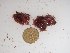  ( - GWS024231)  @11 [ ] Unspecified (default): All Rights Reserved  Unspecified Unspecified
