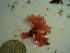  ( - GWS024528)  @11 [ ] Unspecified (default): All Rights Reserved  Unspecified Unspecified