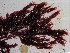  ( - GWS024662)  @11 [ ] Unspecified (default): All Rights Reserved  Unspecified Unspecified