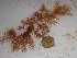  ( - GWS024731)  @11 [ ] Unspecified (default): All Rights Reserved  Unspecified Unspecified