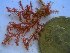  ( - GWS024885)  @11 [ ] Unspecified (default): All Rights Reserved  Unspecified Unspecified