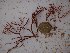  ( - GWS024919)  @11 [ ] Unspecified (default): All Rights Reserved  Unspecified Unspecified