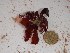  ( - GWS024924)  @11 [ ] Unspecified (default): All Rights Reserved  Unspecified Unspecified