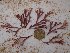  ( - GWS024964)  @13 [ ] Unspecified (default): All Rights Reserved  Unspecified Unspecified