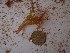  ( - GWS025000)  @11 [ ] Unspecified (default): All Rights Reserved  Unspecified Unspecified