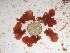  ( - GWS025115)  @11 [ ] Unspecified (default): All Rights Reserved  Unspecified Unspecified