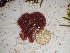  ( - GWS025189)  @11 [ ] Unspecified (default): All Rights Reserved  Unspecified Unspecified