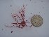  ( - GWS025285)  @11 [ ] Unspecified (default): All Rights Reserved  Unspecified Unspecified